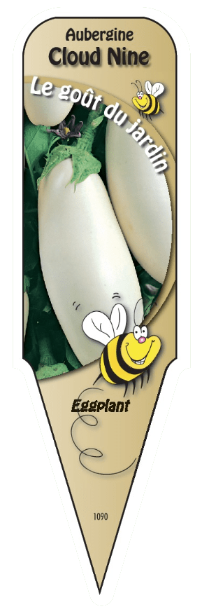 Aubergine Blanche - Mon jardin en ligne