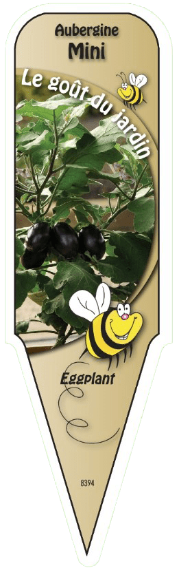 Aubergine Mini - Mon jardin en ligne
