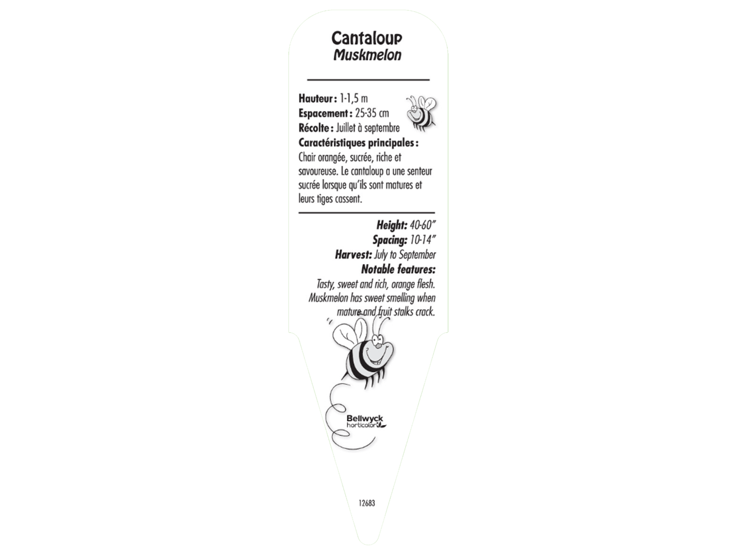 Cantaloup - Mon jardin en ligne