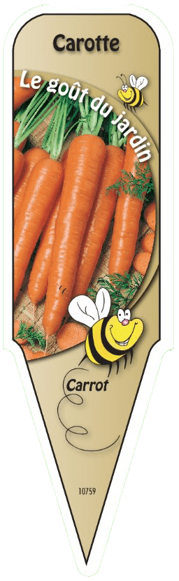 Carotte - Mon jardin en ligne
