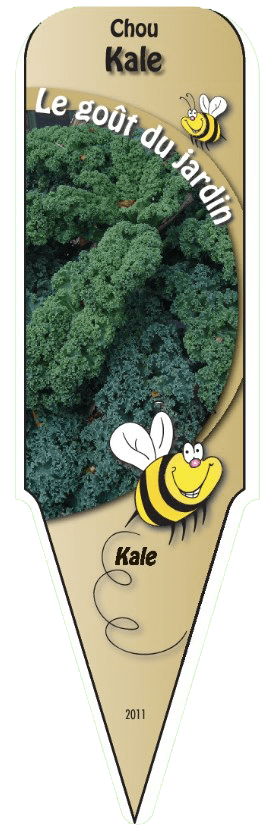 Chou kale - Mon jardin en ligne