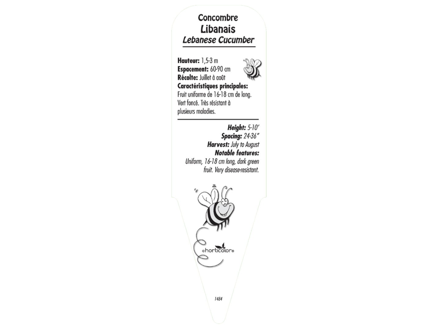 Concombre Libanais - Mon jardin en ligne