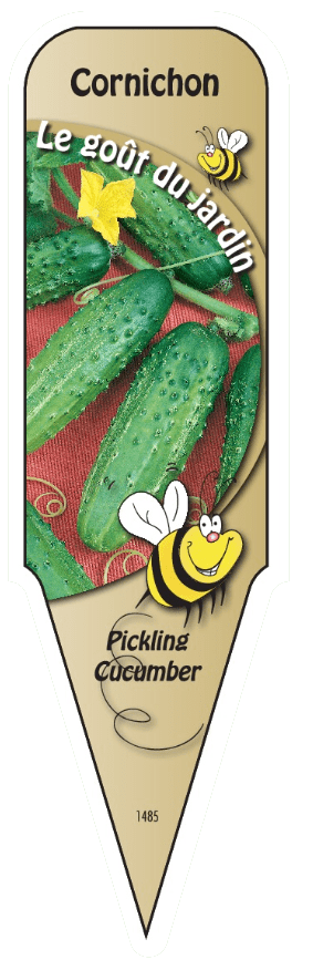 Cornichon - Mon jardin en ligne