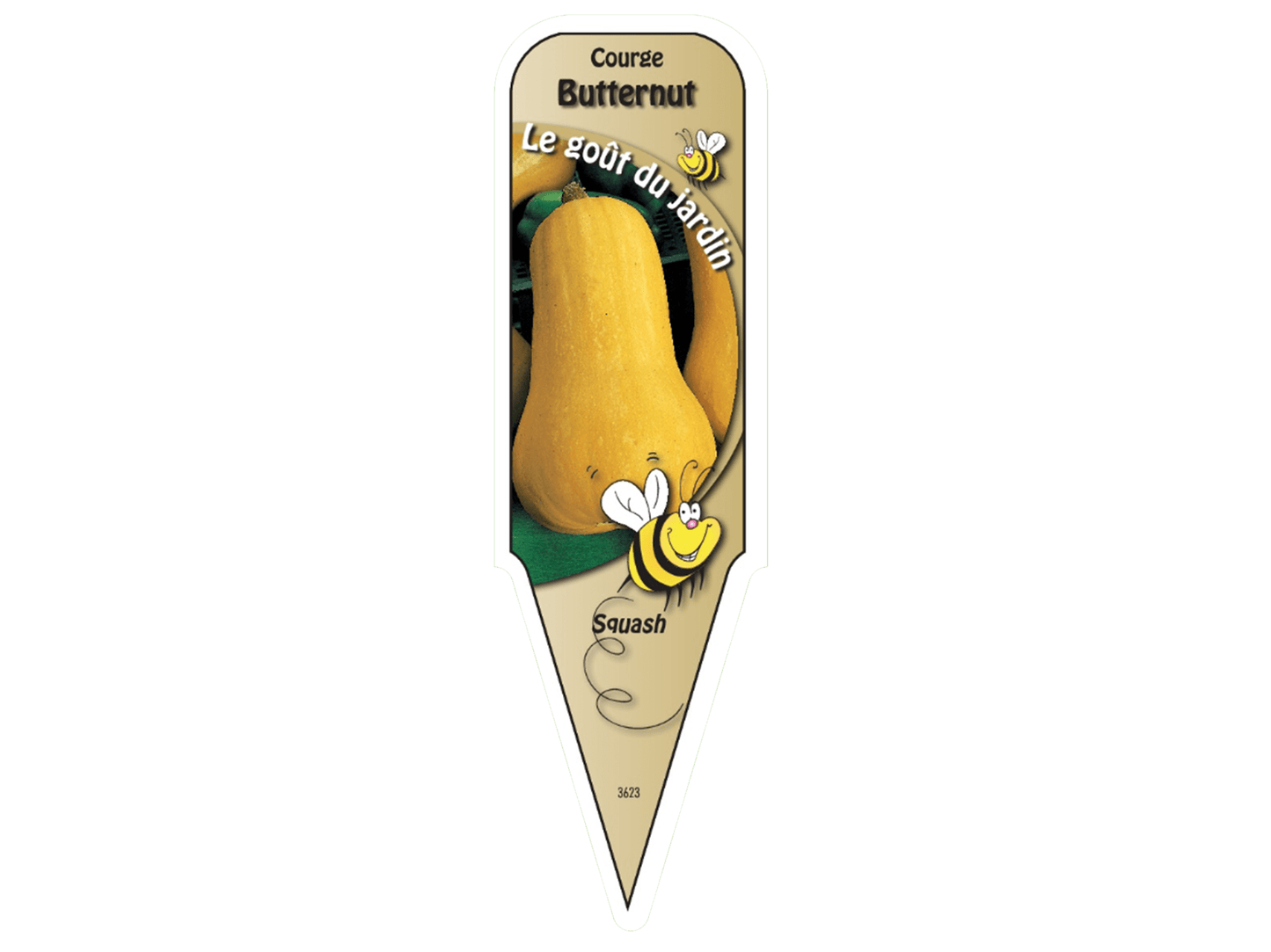 Courge Butternut - Mon jardin en ligne