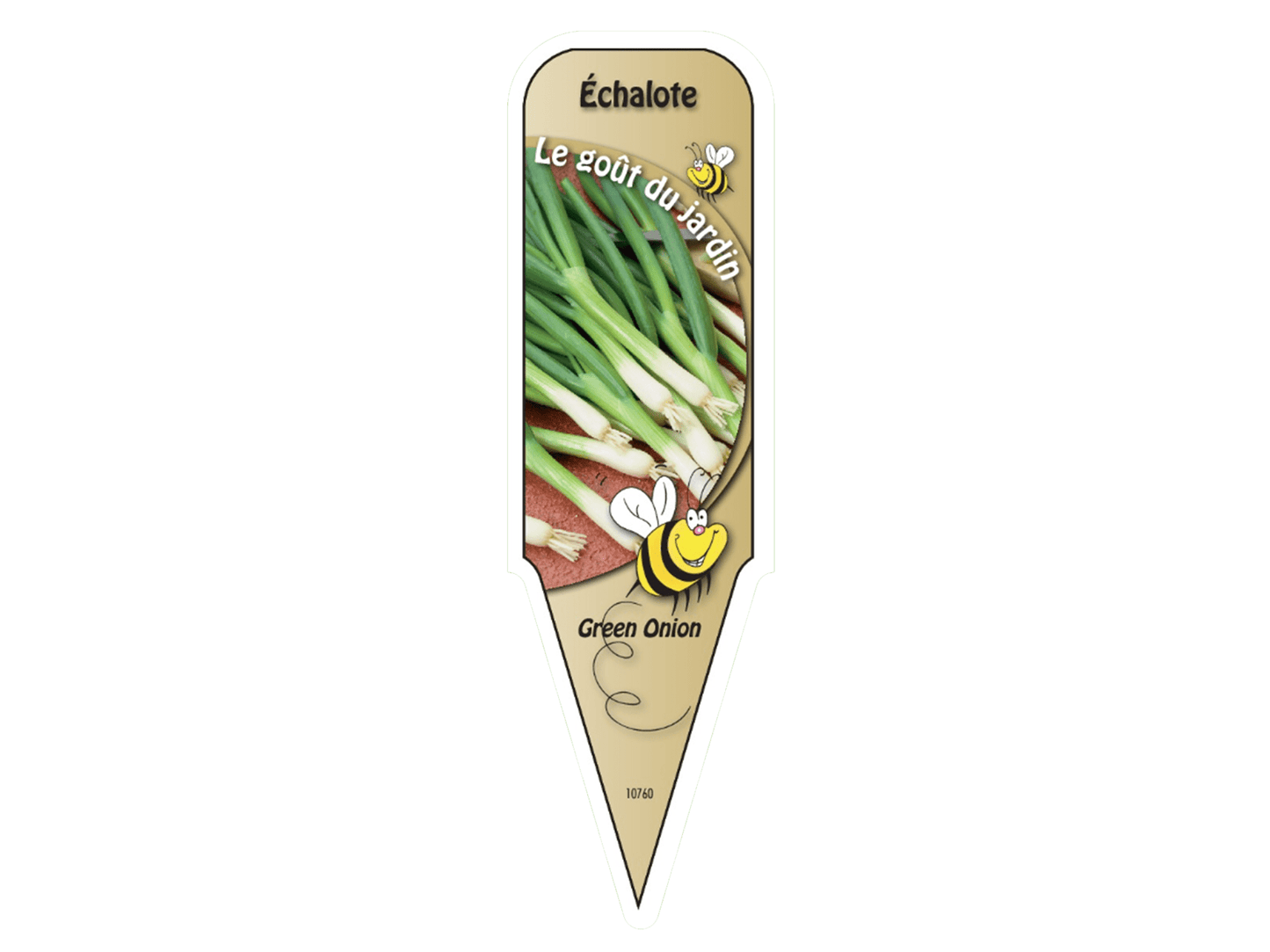 Échalote - Mon jardin en ligne