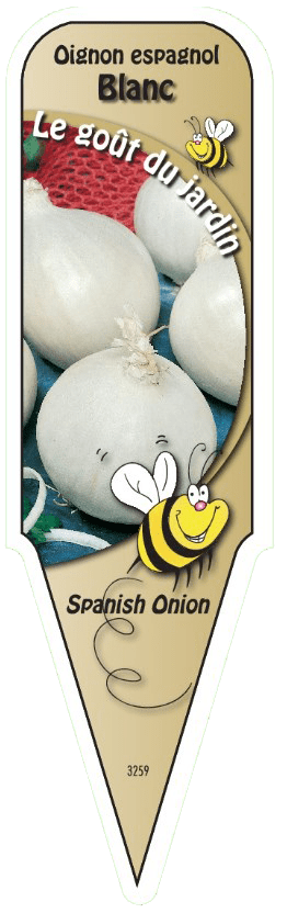 Oignon espagnol blanc - Mon jardin en ligne