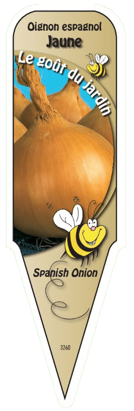 Oignon espagnol jaune - Mon jardin en ligne