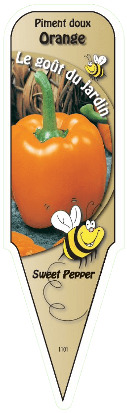 Piment doux orange - Mon jardin en ligne