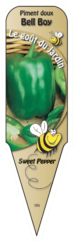 Piment doux vert - Mon jardin en ligne