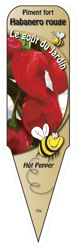 Piment fort Habanero rouge - Mon jardin en ligne