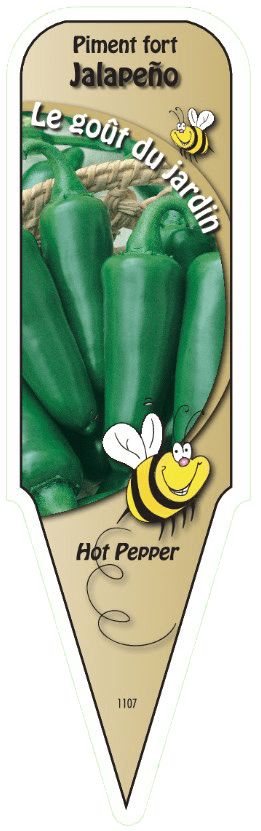 Piment fort Jalapeno - Mon jardin en ligne
