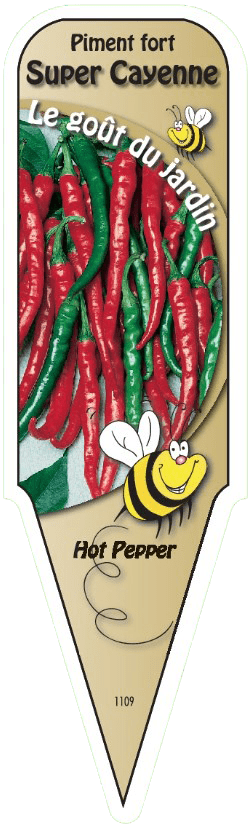 Piment fort Super Cayenne - Mon jardin en ligne