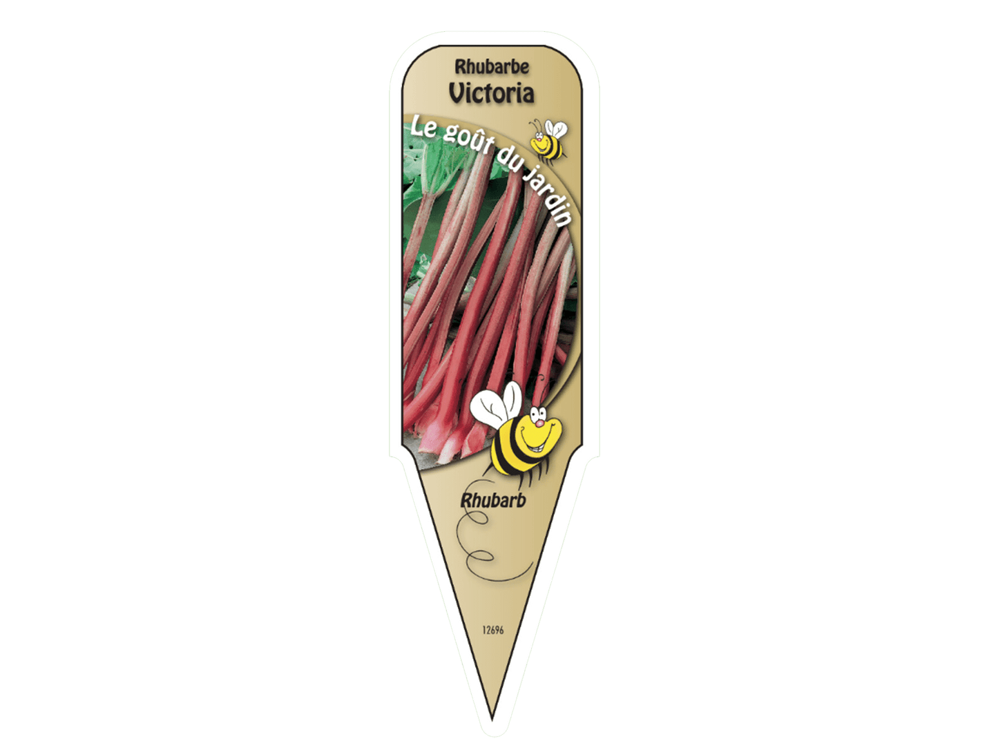 Rhubarbe - Mon jardin en ligne