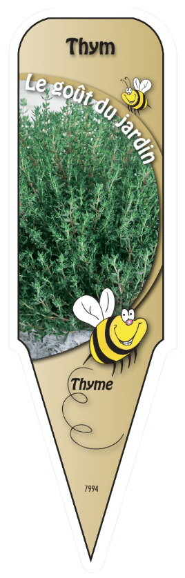 Thym - Mon jardin en ligne