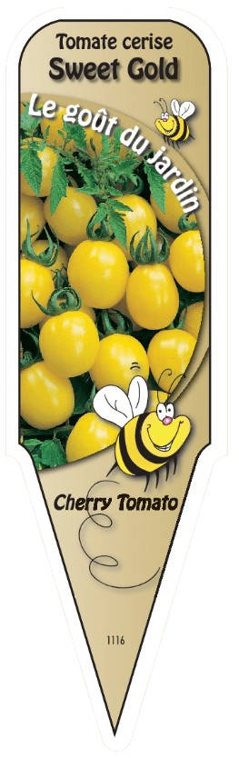 Tomate cerise Jaune - Mon jardin en ligne
