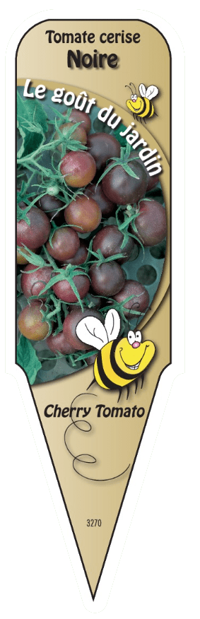 Tomate cerise Noire - Mon jardin en ligne