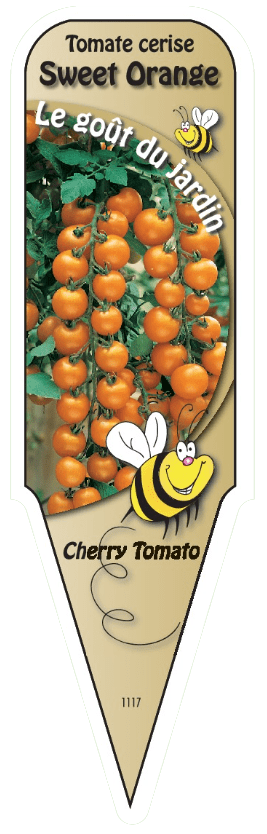 Tomate cerise Orange - Mon jardin en ligne