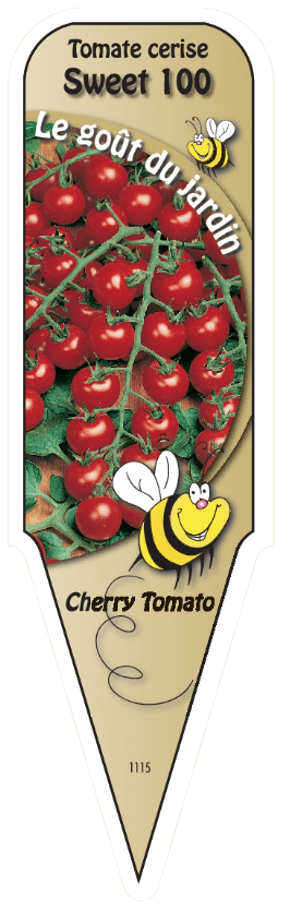 Tomate cerise Sweet 100 - Mon jardin en ligne
