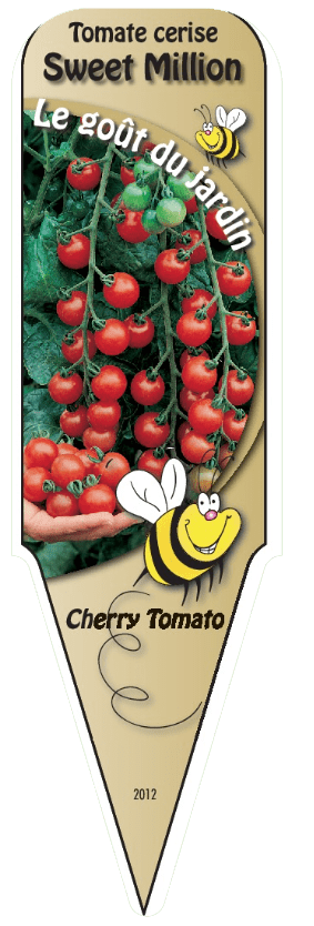 Tomate cerise Sweet Million - Mon jardin en ligne
