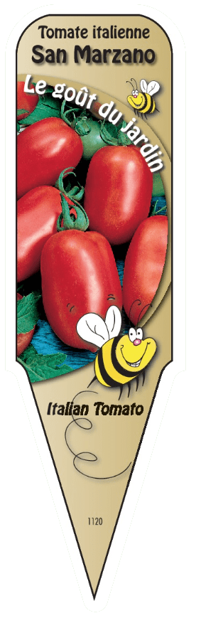 Tomate italienne San Marzano - Mon jardin en ligne