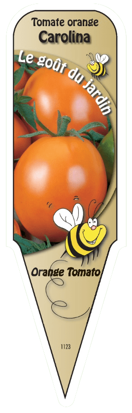 Tomate orange Carolina - Mon jardin en ligne