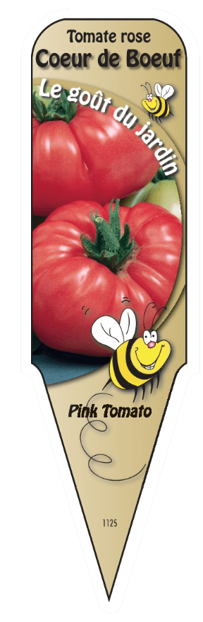 Tomate rose Cœur de Bœuf - Mon jardin en ligne