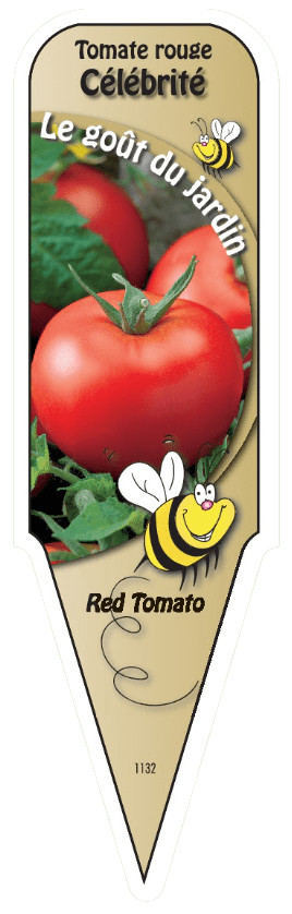 Tomate rouge Célébrité - Mon jardin en ligne