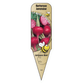 Betterave Japonaise - Mon jardin en ligne