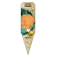 Chou-fleur Cheddar - Mon jardin en ligne