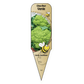 Chou-fleur Verde - Mon jardin en ligne