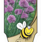 Ciboulette - Mon jardin en ligne