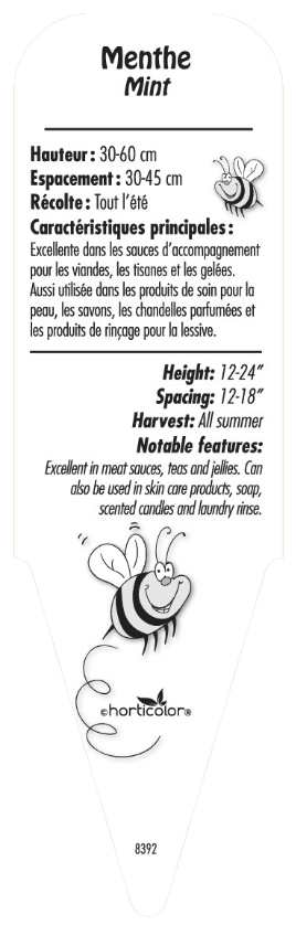 Menthe - Mon jardin en ligne