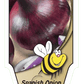 Oignon espagnol rouge - Mon jardin en ligne