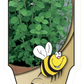 Origan - Mon jardin en ligne