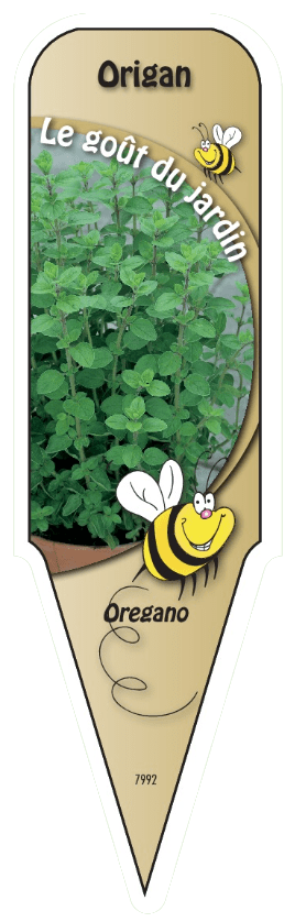 Origan - Mon jardin en ligne
