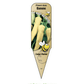 Piment doux Banane - Mon jardin en ligne