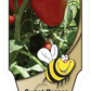 Piment doux Fraise - Mon jardin en ligne