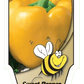Piment doux jaune - Mon jardin en ligne