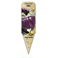 Piment doux Lilas - Mon jardin en ligne