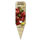 Piment doux Mad Hatter - Mon jardin en ligne
