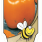 Piment doux orange - Mon jardin en ligne