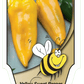Piment doux Shepherd jaune - Mon jardin en ligne