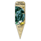 Piment fort Ancho Poblano - Mon jardin en ligne
