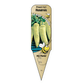 Piment fort Hongrois - Mon jardin en ligne