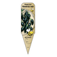 Piment fort Hongrois noir - Mon jardin en ligne