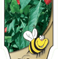 Piment fort Super Chili - Mon jardin en ligne