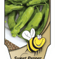 Piment Takara Shishito - Mon jardin en ligne