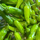 Piment Takara Shishito - Mon jardin en ligne