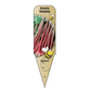 Rhubarbe - Mon jardin en ligne