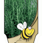 Romarin - Mon jardin en ligne